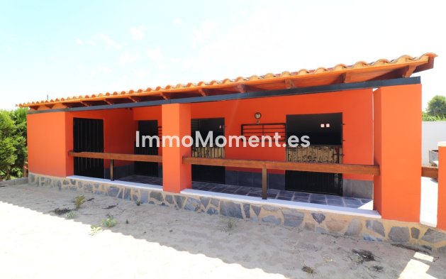 Wiederverkauf - Villa - Almoradí - Heredades