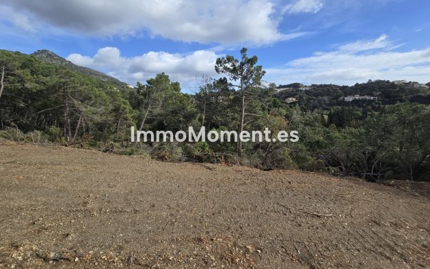 Construction neuve - Terrain - Benahavís - Benahavís Centro