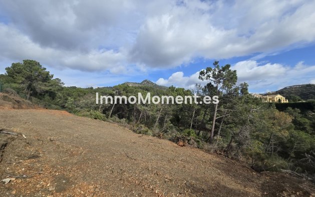 Construction neuve - Terrain - Benahavís - Benahavís Centro