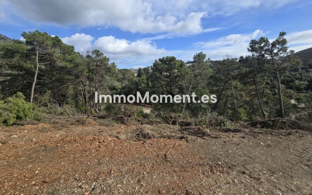 Construction neuve - Terrain - Benahavís - Benahavís Centro