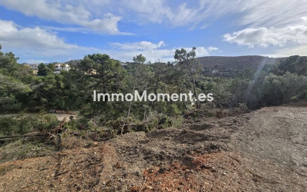 Construction neuve - Terrain - Benahavís - Benahavís Centro