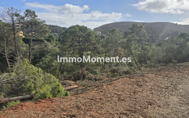 Construction neuve - Terrain - Benahavís - Benahavís Centro