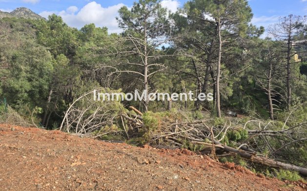 Construction neuve - Terrain - Benahavís - Benahavís Centro