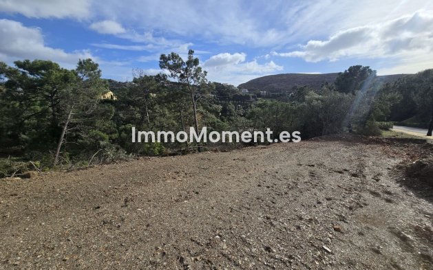 Construction neuve - Terrain - Benahavís - Benahavís Centro