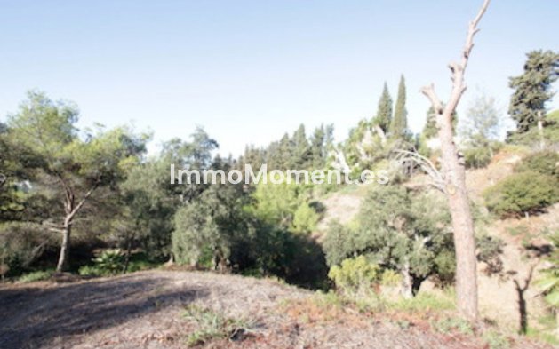 Wiederverkauf - Land - Marbella - Hacienda Las Chapas