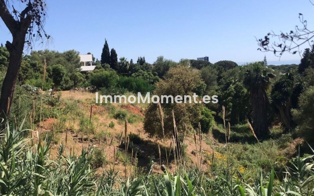Wiederverkauf - Land - Marbella - Hacienda Las Chapas