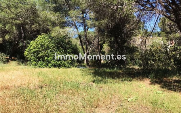 Wiederverkauf - Land - Marbella - Hacienda Las Chapas