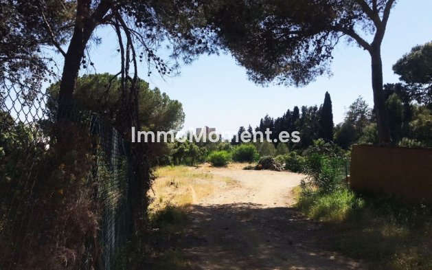 Wiederverkauf - Land - Marbella - Hacienda Las Chapas