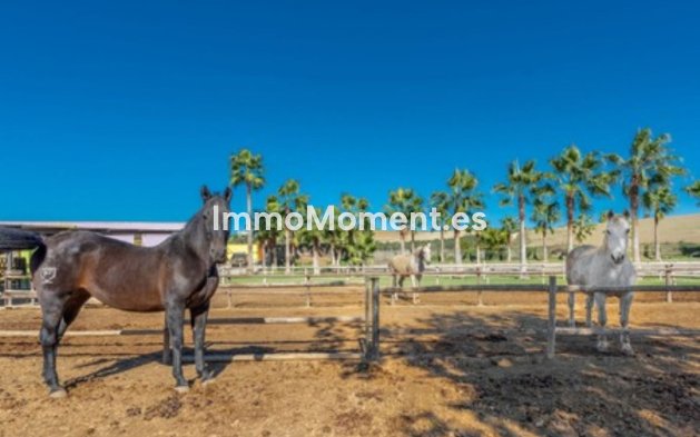 Resale - Country house - Inland  - Coín