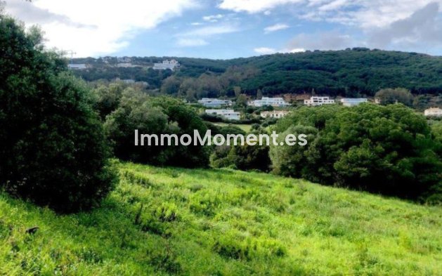 Revente - Terrain - Sotogrande