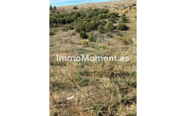 Revente - Terrain - Estepona  - Valle Romano