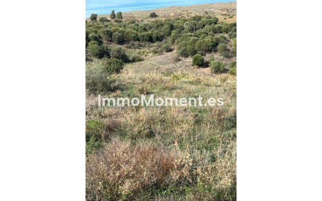 Revente - Terrain - Estepona  - Valle Romano