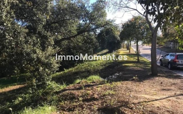 Wiederverkauf - Land - Sotogrande - Sotogrande Alto