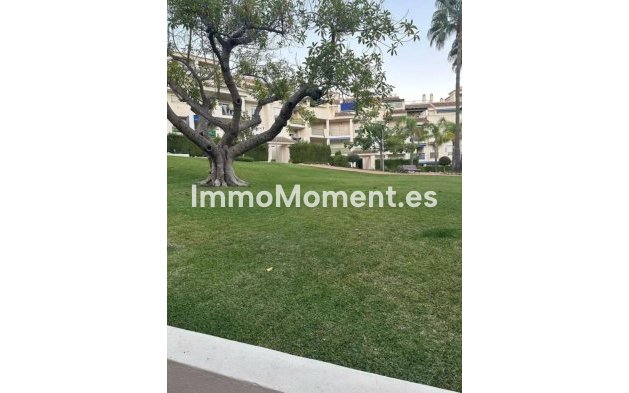 Wiederverkauf - Wohnung - Marbella - Nueva Andalucía