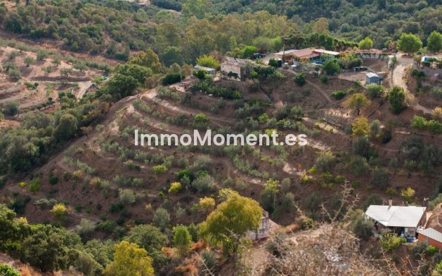 Revente - Maison de campagne - Marbella - Altos de los Monteros