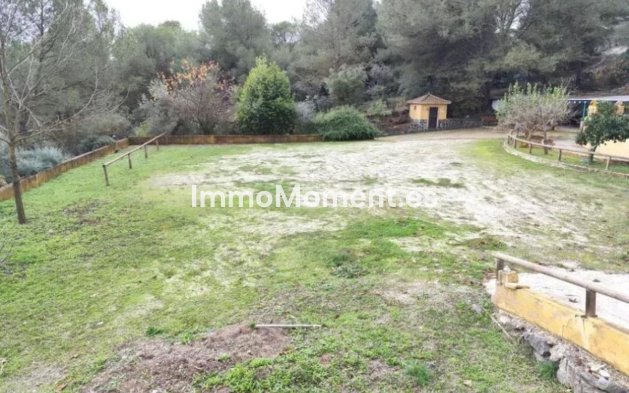 Revente - Maison de campagne - Intérieur                       - Monda