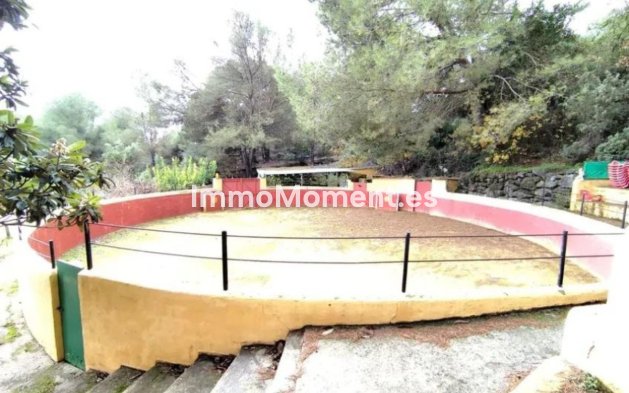 Revente - Maison de campagne - Intérieur                       - Monda