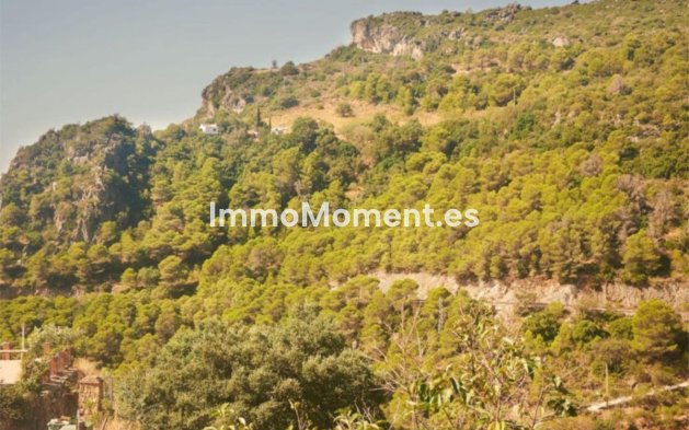 Wiederverkauf - Landhaus - Casares - Casares Centro