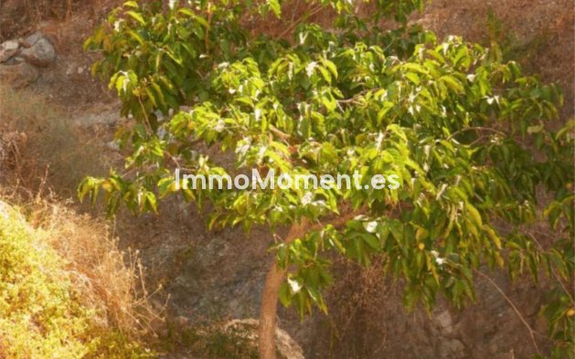 Wiederverkauf - Landhaus - Casares - Casares Centro