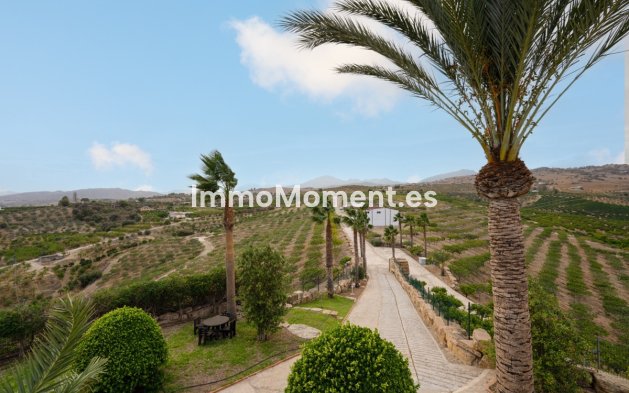 Revente - Maison de campagne - Intérieur                       - Pizarra