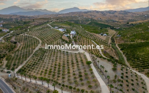 Revente - Maison de campagne - Intérieur                       - Pizarra