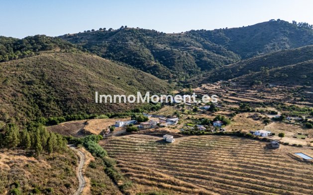 Revente - Appartement - Intérieur                       - Ojén