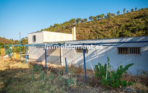 Revente - Appartement - Intérieur                       - Ojén