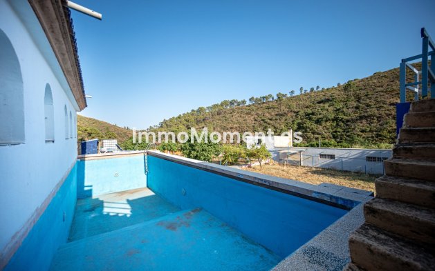 Revente - Appartement - Intérieur                       - Ojén