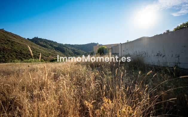 Revente - Appartement - Intérieur                       - Ojén