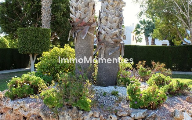 Bestaande woning - Appartement - Orihuela - Villamartin