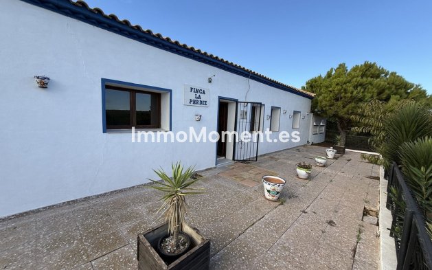 Resale - Country house - Pilar de la Horadada - Pinar de Campoverde