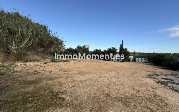 Resale - Country house - Pilar de la Horadada - Pinar de Campoverde
