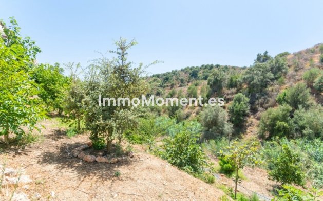 Revente - Villa - Mijas - Mijas Costa