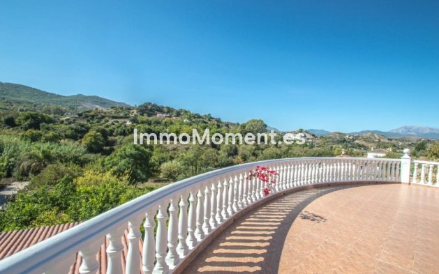 Revente - Maison de campagne - Intérieur                       - Coín