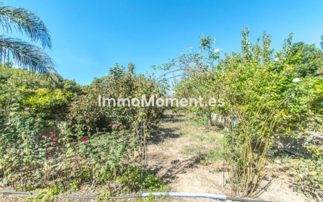 Revente - Maison de campagne - Intérieur                       - Coín