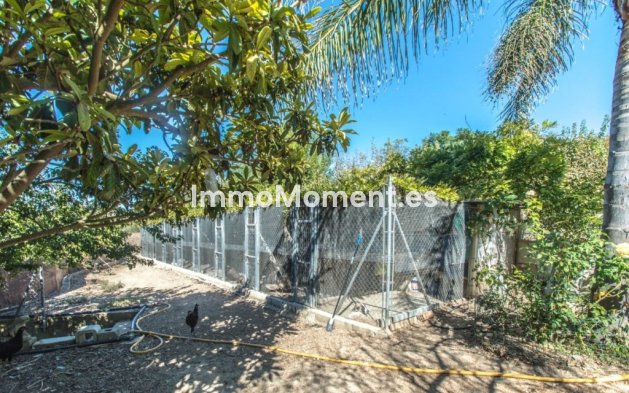 Revente - Maison de campagne - Intérieur                       - Coín