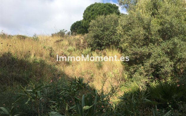 Revente - Terrain - Mijas - Mijas Centro