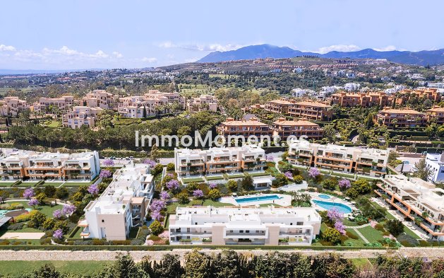 Neubau - Low-bungalow - Estepona  - Estepona