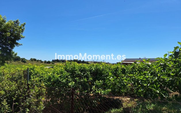 Neubau - Landhaus - Estepona  - Estepona Centro