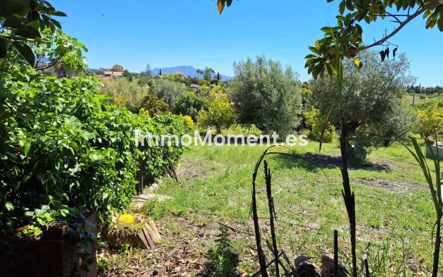 Neubau - Landhaus - Estepona  - Estepona Centro
