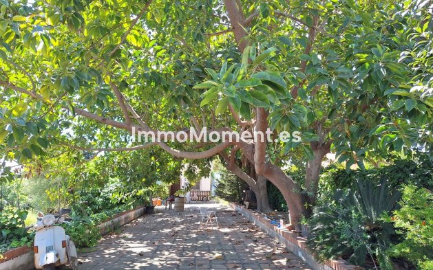 Neubau - Landhaus - Estepona  - Estepona Centro