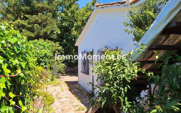 Neubau - Landhaus - Estepona  - Estepona Centro