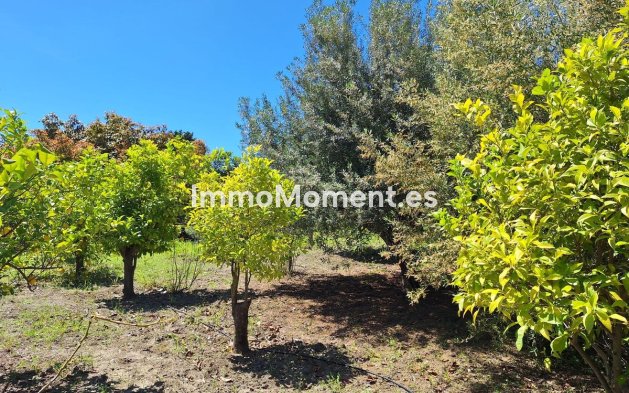 Neubau - Landhaus - Estepona  - Estepona Centro