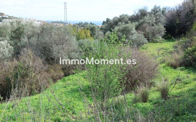 Revente - Terrain - Mijas - Mijas Centro