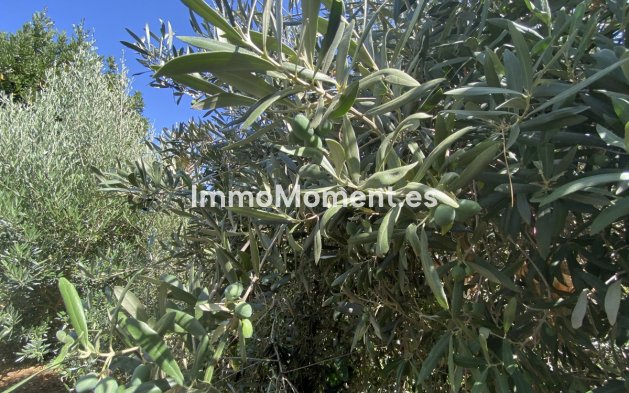 Bestaande woning - Landhuis - Estepona  - Estepona Centro