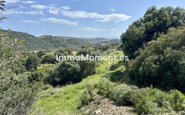 Reventa - Terreno - Benahavís - Benahavís Centro