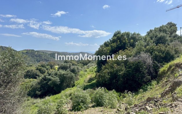 Reventa - Terreno - Benahavís - Benahavís Centro