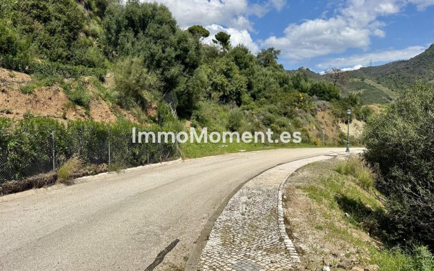 Reventa - Terreno - Benahavís - Benahavís Centro