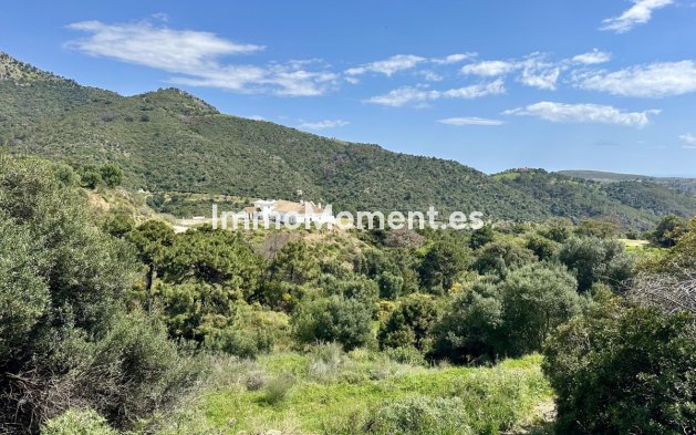 Reventa - Terreno - Benahavís - Benahavís Centro