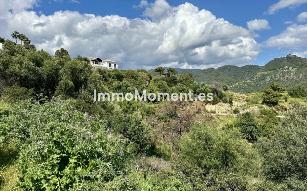 Reventa - Terreno - Benahavís - Benahavís Centro